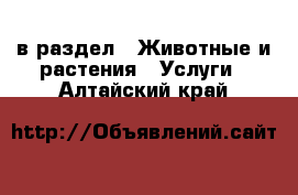  в раздел : Животные и растения » Услуги . Алтайский край